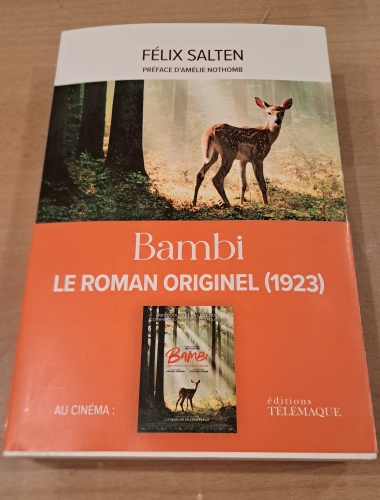 cinéma,critique,film,bambi,l'histoire d'une vie dans les bois,michel fessler,laurent perez del mar,mylène farmer,félix salten,laurence buchmann,daniel meyer,16 octobre 2024,festival cinéroman de nice 2024,festival du film du croisic,adaptation littéraire