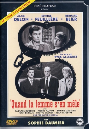 alain delon,cinéma,monsieur klein,la piscine plein soleil,le clan des siciliens,le guépard